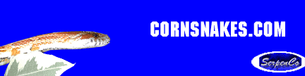 corn-banner.gif