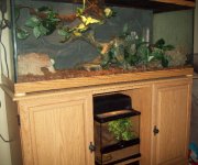 Snake viv 004.JPG