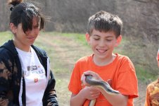 Hognose1-6-800.jpg