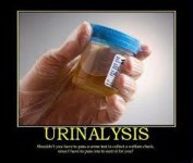 Urine.jpg