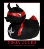 ninja-ducks-demotivational-poster-1221467227.jpg