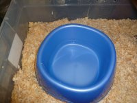 snake bowl 002.jpg