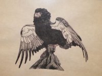 Bateleur Eagle - pen and ink - 95.jpg