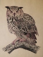 Eagle Owl - pen and ink - 95.jpg