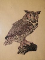 Great Horned Owl - pen and ink - 95.jpg