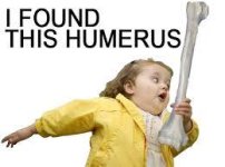 humerus.jpg