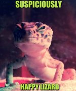 Funny-MEME-Pictures-Lizard-MEMES.jpg