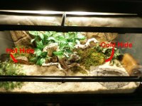 terrarium copy.jpg