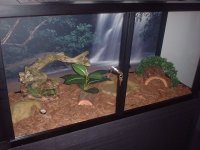 vivarium 00002.JPG