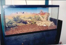 cleo\'s tank 1.jpg