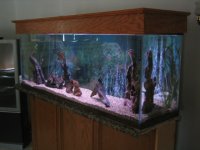 eBay & Fish Tank 018.jpg