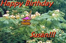 Susan Birthday.jpg