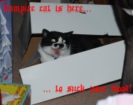 vampcatDSC_0339.jpg