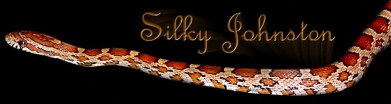 Silky Johnston Sig Black 1.jpg