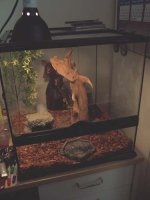 Vivarium01.jpg