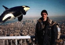 orca.jpg