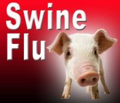 80swine-flu.jpg