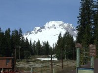 mt.hood1.JPG