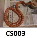 CS003.jpg