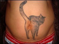 kitty tat.jpg