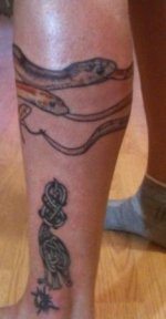 snakes on calf & old bird 2(2).JPG