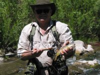 Brown Trout 001.JPG