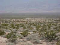 Valley of Fire, Arpil 25, 08_011 (Small).JPG