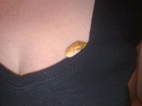 snake boob small.jpg