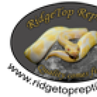 RidgeTop Reptiles