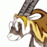 oryx_gazella