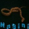 Nagini_snow